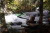 Thumbs/tn_Img_5805.jpg