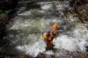 Thumbs/tn_Img_5812.jpg