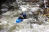 Thumbs/tn_Img_5817.jpg