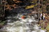 Thumbs/tn_Img_5828.jpg