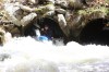 Thumbs/tn_Img_5834.jpg