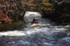Thumbs/tn_Img_5862.jpg