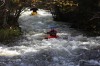 Thumbs/tn_Img_5864.jpg
