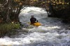 Thumbs/tn_Img_5867.jpg