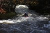 Thumbs/tn_Img_5872.jpg