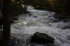 Thumbs/tn_Img_5878.jpg