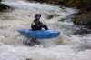 Thumbs/tn_Img_5880.jpg