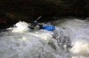 Thumbs/tn_Img_5892.jpg