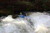Thumbs/tn_Img_5894.jpg