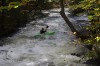 Thumbs/tn_Img_5921.jpg