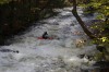 Thumbs/tn_Img_5950.jpg