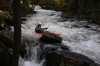 Thumbs/tn_Img_5983.jpg