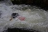 Thumbs/tn_Img_5990.jpg