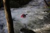 Thumbs/tn_Img_6001.jpg