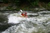 Thumbs/tn_Img_5669.jpg