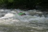Thumbs/tn_Img_5785.jpg