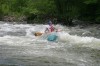 Thumbs/tn_Img_5833.jpg