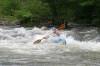 Thumbs/tn_Img_5840.jpg