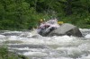 Thumbs/tn_Img_5915.jpg