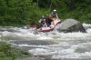 Thumbs/tn_Img_5917.jpg