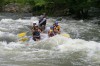 Thumbs/tn_Img_5930.jpg