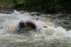 Thumbs/tn_Img_5931.jpg