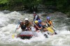 Thumbs/tn_Img_5934.jpg