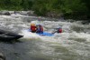Thumbs/tn_Img_5953.jpg