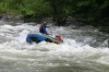 Thumbs/tn_Img_5959.jpg