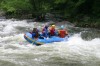 Thumbs/tn_Img_5962.jpg