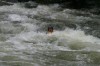 Thumbs/tn_Img_5975.jpg