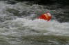 Thumbs/tn_Img_5976.jpg