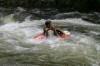 Thumbs/tn_Img_5980.jpg