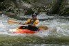 Thumbs/tn_Img_5982.jpg