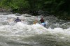 Thumbs/tn_Img_5985.jpg