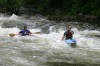 Thumbs/tn_Img_5989.jpg