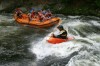 Thumbs/tn_Img_6004.jpg