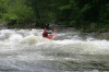 Thumbs/tn_Img_6022.jpg