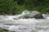 Thumbs/tn_Img_6026.jpg