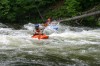 Thumbs/tn_Img_6055.jpg