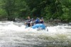 Thumbs/tn_Img_6171.jpg