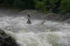 Thumbs/tn_Img_6203.jpg