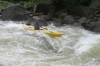 Thumbs/tn_Img_6208.jpg