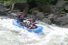 Thumbs/tn_Img_6266.jpg