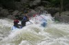 Thumbs/tn_Img_6268.jpg