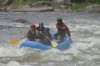 Thumbs/tn_Img_6272.jpg