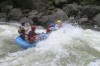 Thumbs/tn_Img_6295.jpg