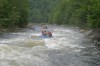 Thumbs/tn_Img_6299.jpg