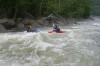 Thumbs/tn_Img_6350.jpg