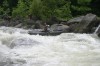 Thumbs/tn_Img_6368.jpg